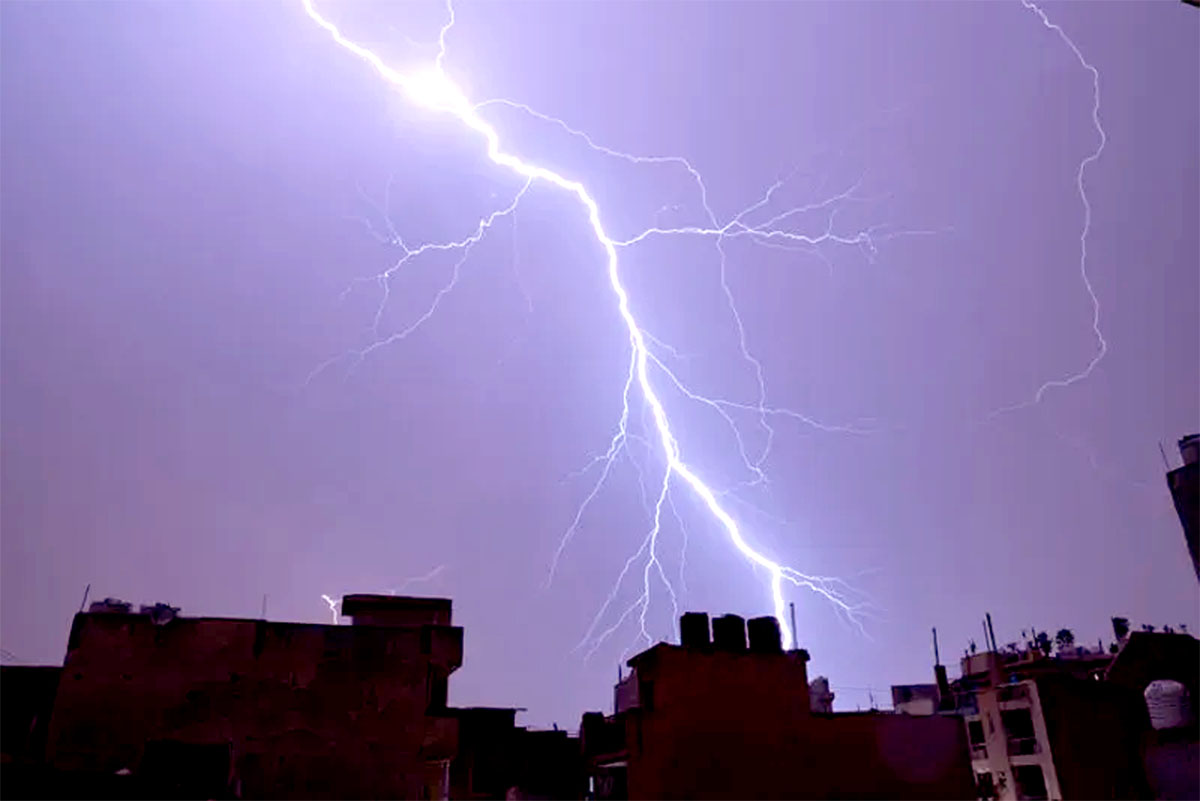 Jammu and Kashmir: Over 100 cattle killed due to lightning.